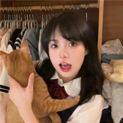 法尔什家族