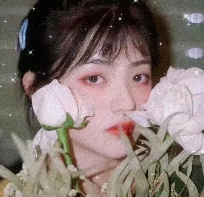 杜鹃花飞